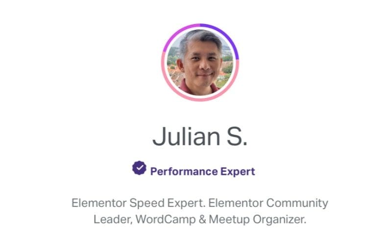 elementor speed expert 1